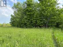 LOT 3 JAMIESON ROAD | South Frontenac Ontario | Slide Image Fourteen