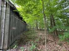 LOT 3 JAMIESON ROAD | South Frontenac Ontario | Slide Image Seven