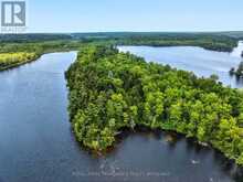 PT ISLAND B GRACEY'S ISLAND | Central Frontenac Ontario | Slide Image Seventeen