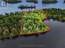 PT ISLAND B GRACEY'S ISLAND | Central Frontenac Ontario | Slide Image Two