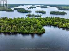 PT ISLAND B GRACEY'S ISLAND | Central Frontenac Ontario | Slide Image Four