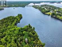 PT ISLAND B GRACEY'S ISLAND | Central Frontenac Ontario | Slide Image Nine