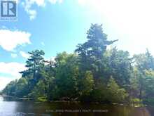 PT ISLAND B GRACEY'S ISLAND | Central Frontenac Ontario | Slide Image Nineteen