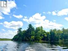 PT ISLAND B GRACEY'S ISLAND | Central Frontenac Ontario | Slide Image Twenty