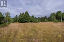0 FLYING CLUB ROAD | Greater Madawaska Ontario | Slide Image Twenty-seven