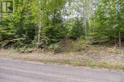 0 FLYING CLUB ROAD | Greater Madawaska Ontario | Slide Image Thirty-two