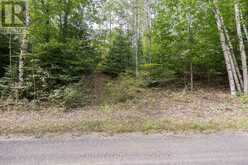 0 FLYING CLUB ROAD | Greater Madawaska Ontario | Slide Image Thirty-three