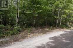 0 FLYING CLUB ROAD | Greater Madawaska Ontario | Slide Image Thirty-five