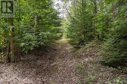 0 FLYING CLUB ROAD | Greater Madawaska Ontario | Slide Image Thirty-six