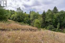 0 FLYING CLUB ROAD | Greater Madawaska Ontario | Slide Image Thirty-eight