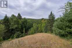 0 FLYING CLUB ROAD | Greater Madawaska Ontario | Slide Image Thirty-nine