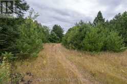 0 FLYING CLUB ROAD | Greater Madawaska Ontario | Slide Image Forty