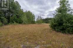 0 FLYING CLUB ROAD | Greater Madawaska Ontario | Slide Image Forty-one