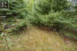 0 FLYING CLUB ROAD | Greater Madawaska Ontario | Slide Image Forty-two
