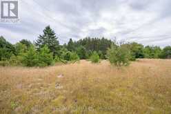 0 FLYING CLUB ROAD | Greater Madawaska Ontario | Slide Image Forty-four