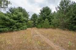 0 FLYING CLUB ROAD | Greater Madawaska Ontario | Slide Image Forty-five