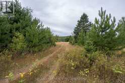 0 FLYING CLUB ROAD | Greater Madawaska Ontario | Slide Image Forty-six