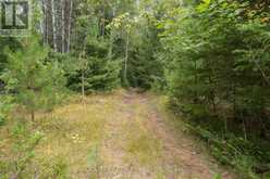 0 FLYING CLUB ROAD | Greater Madawaska Ontario | Slide Image Forty-seven