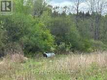 4374 LORDS MILLS ROAD | Prescott Ontario | Slide Image Seven