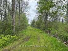 4374 LORDS MILLS ROAD | Prescott Ontario | Slide Image Nine