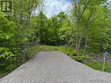 17146 ROAD 509 | Central Frontenac Ontario | Slide Image Two