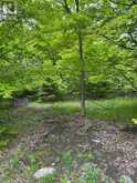 17146 ROAD 509 | Central Frontenac Ontario | Slide Image Three