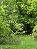 17146 ROAD 509 | Central Frontenac Ontario | Slide Image Five