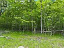 17146 ROAD 509 | Central Frontenac Ontario | Slide Image Seven