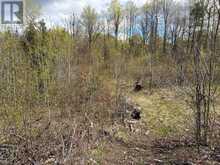 LOT 0 COUNTY ROAD 38 | Central Frontenac Ontario | Slide Image Ten