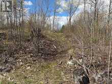 LOT 0 COUNTY ROAD 38 | Central Frontenac Ontario | Slide Image Eleven