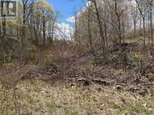 LOT 0 COUNTY ROAD 38 | Central Frontenac Ontario | Slide Image Twelve