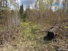 LOT 0 COUNTY ROAD 38 | Central Frontenac Ontario | Slide Image Thirteen