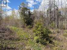 LOT 0 COUNTY ROAD 38 | Central Frontenac Ontario | Slide Image Fifteen
