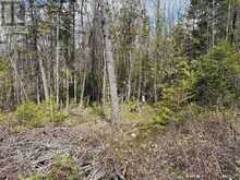 LOT 0 COUNTY ROAD 38 | Central Frontenac Ontario | Slide Image Sixteen