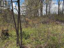 LOT 0 COUNTY ROAD 38 | Central Frontenac Ontario | Slide Image Nineteen