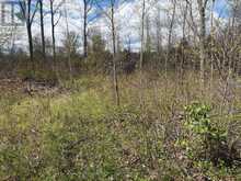 LOT 0 COUNTY ROAD 38 | Central Frontenac Ontario | Slide Image Twenty