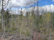 LOT 0 COUNTY ROAD 38 | Central Frontenac Ontario | Slide Image Twenty-four