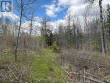 LOT 0 COUNTY ROAD 38 | Central Frontenac Ontario | Slide Image Eighteen