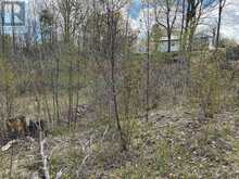 LOT 0 COUNTY ROAD 38 | Central Frontenac Ontario | Slide Image Twenty-two