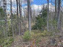 LOT 0 COUNTY ROAD 38 | Central Frontenac Ontario | Slide Image Twenty-five