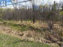 LOT 0 COUNTY ROAD 38 | Central Frontenac Ontario | Slide Image Thirty