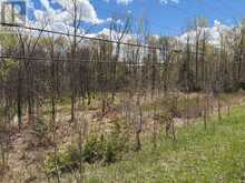 LOT 0 COUNTY ROAD 38 | Central Frontenac Ontario | Slide Image Thirty-one