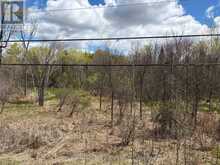 LOT 0 COUNTY ROAD 38 | Central Frontenac Ontario | Slide Image Thirty-two