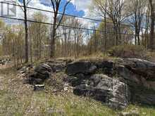LOT 0 COUNTY ROAD 38 | Central Frontenac Ontario | Slide Image Thirty-eight