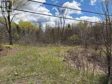 LOT 0 COUNTY ROAD 38 | Central Frontenac Ontario | Slide Image Three
