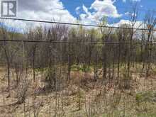 LOT 0 COUNTY ROAD 38 | Central Frontenac Ontario | Slide Image Thirty-three