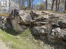 LOT 0 COUNTY ROAD 38 | Central Frontenac Ontario | Slide Image Thirty-five