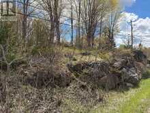 LOT 0 COUNTY ROAD 38 | Central Frontenac Ontario | Slide Image Thirty-six