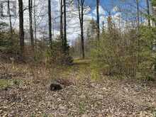 LOT 0 COUNTY ROAD 38 | Central Frontenac Ontario | Slide Image Thirty-nine