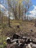LOT 0 COUNTY ROAD 38 | Central Frontenac Ontario | Slide Image Forty